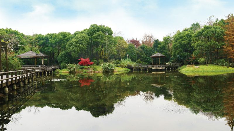 会议场所花卉租摆布置，如何打造清新雅致的空间氛围