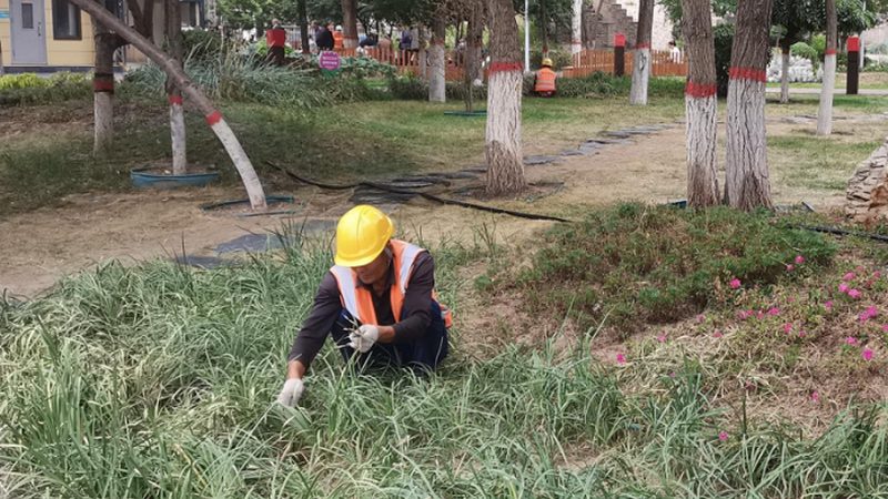 市政园林绿化养护管理：从细节出发，打造绿色生态**