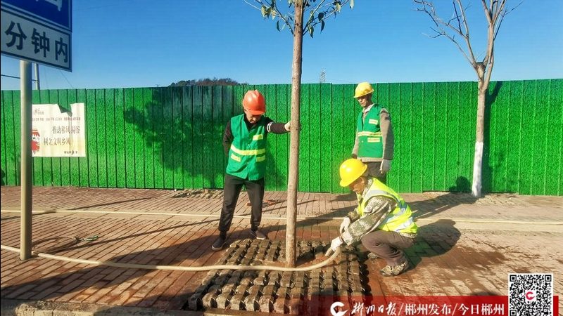 庭院景观设计主要包括以下要素：