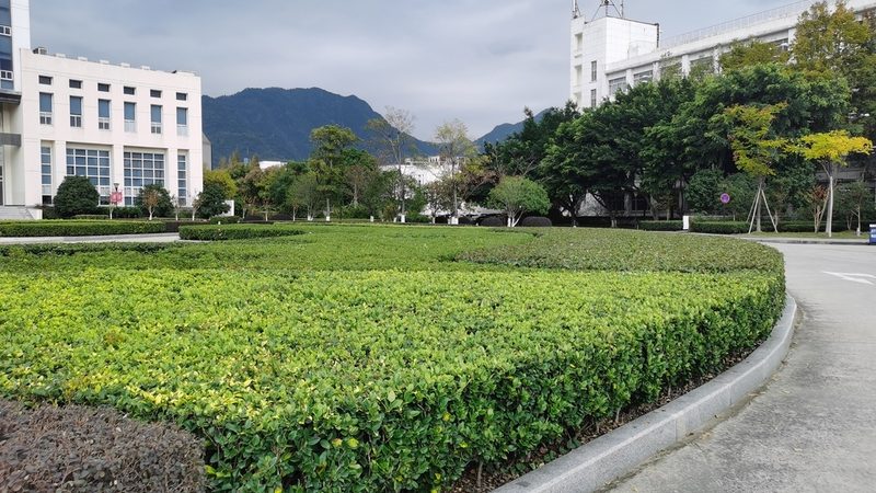 边坡绿化铁丝网：规格型号解析与选型要点**